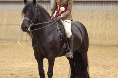 Abbie-huxham-Horse_Pony-Dalewin-theia