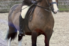 Florence-Paice-and-Fencers-Royal-Additoon