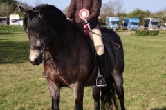 Georgie-Murphy-Holmes-Horse_Pony-Caherlistrane-Eoin