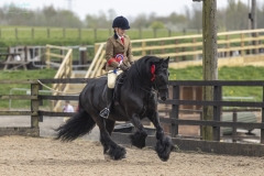 Isabelle-Fyfe-Horse_Pony-Summerhouse-Guardsman