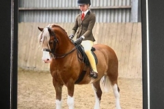 Lilly-Richardson-Horse_Pony-Horeb-Strike-A-Pose