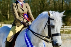 Paige-knipe-Horse_Pony-Cloneyogan-Guy