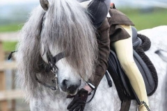 Poppy-Gresty-Horse_Pony-Glenbanchor-Benbecula