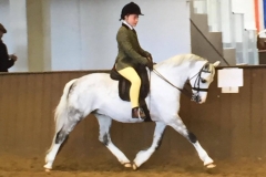 Stockham Jeremy fisher and Matthew Procter