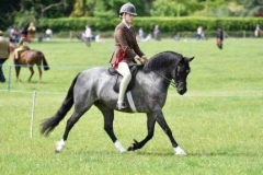 Poppy Fisher and Linksbury Miss Polly