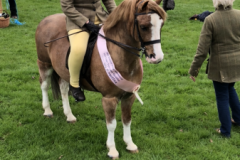 Kyra Brash and Wellbank Gabriel