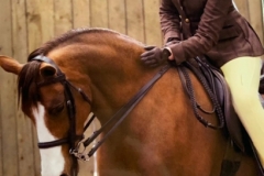 Grace Litherland and Skellorn Miss Ellie