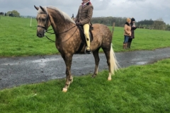 Jessica ramsdale and Violet grange ray of gold