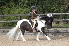 Alexia-Lilley-Horse_Pony-Briar-Puzzle