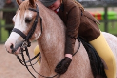 Ava-shaw-Horse_Pony-Settvalley-the-watchman