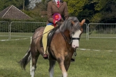 Immy-Strathern-Horse_Pony-Thistledown-Jambo