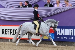 Lilly-Richardson-and-Marsh-walk-on-by