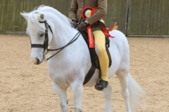 essie-Barleycorn-Horse_Pony-Rowfantina-Orlando-Bloom