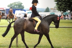 Livie Smith and Brookwater Carousel