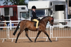 Daisy Bullman and Barkway Priceless