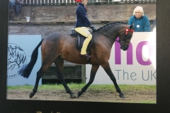 Livie Archer-Andrews and Barkway Moonshine