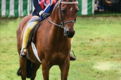 Madison Crane and Barkway State Affair