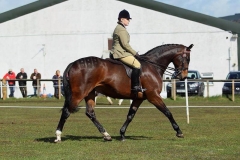 Jemoon Tambourine Man and Jennifer Garland
