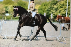 Hoghton Valentino and Dani Robertson