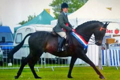 Georgia Ahmet and Aquilas Stud Nigia