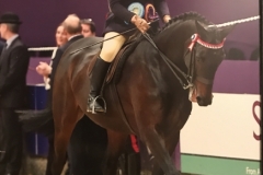 Victoria Timperley and Small Time ll