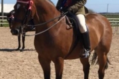 Glen Allen and Helsington Tailor made