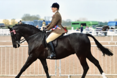 Lauren Falcusand Toncynffig Liberation