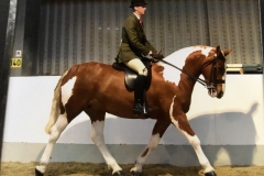 Daniel Williams and The Baroness II