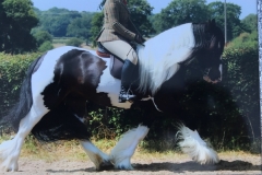 Georgina Duffy and Truly scrumptious