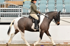 Michelle Bowley and Colour Graphix copy