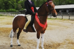 Alivia Carta and Littlebyrom Queen Of Hearts