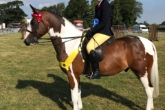 Hannah O’Shea and SOS Rustic Red