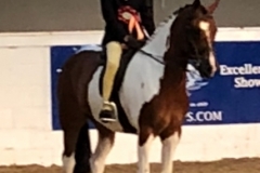 Rebecca Raine and May the fourth be with you