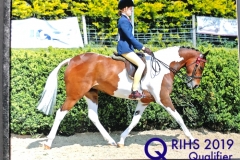 Rosie Bevins and Talponciau Apalachee