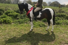 Willow Tarrant and Tarnbrook Take It All