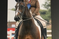 Karabel Holman- Luck and Shear Impulse