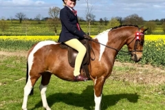 Daisy Bullman and The Longhouse Nightjar