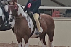 Maisie Chester and Maplebridge Good Friday