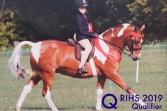 Warren Fentiman and Hopgarden Tomfoolery