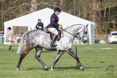 Hollie-Crowe-Horse_Pony-Chapelfield-ladies-man