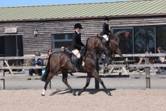 Miss Hannah Whelan and Diptford Birdsong