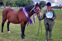 Danielle-Twitchen-and-Bronheulog-Principle