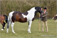 Jamie-Rashbrook-and-Star-dream