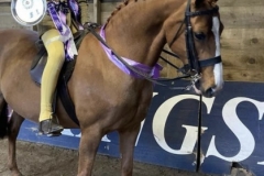 Matilda-Masters-and-Rhosyr-Elizabeth