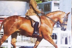 Chelsea Thomas and Swifts mayflower