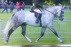 Mace Hero and Esther Lloyd Jone