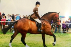 Ballyell Turbo and Lizzie Oseman