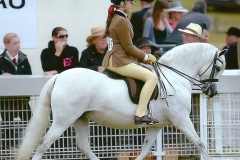 Tori Thomas riding Pantycoed Silver Charm