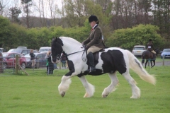 Bonus Boy and Claire Comer