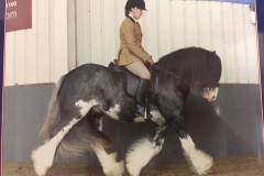 Boxmoor Outlaw and Kerri Skelton